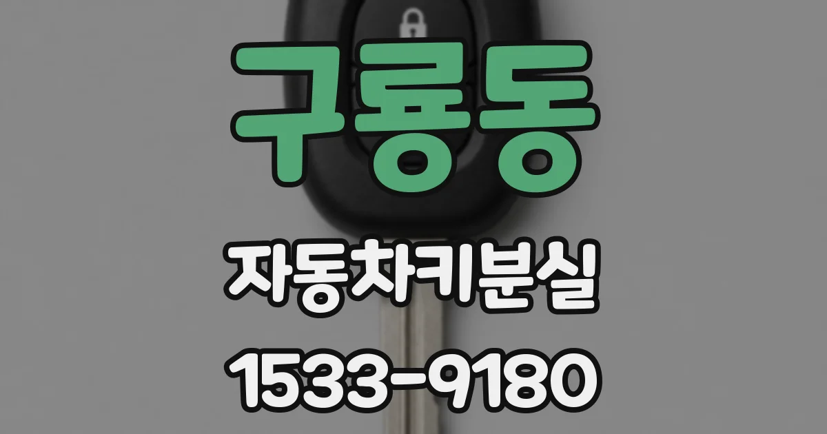 구룡동 자동차키분실