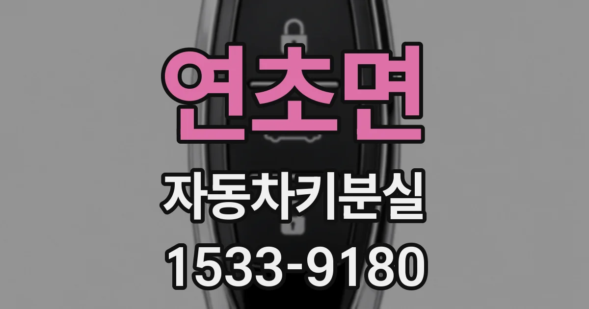연초면 자동차키분실