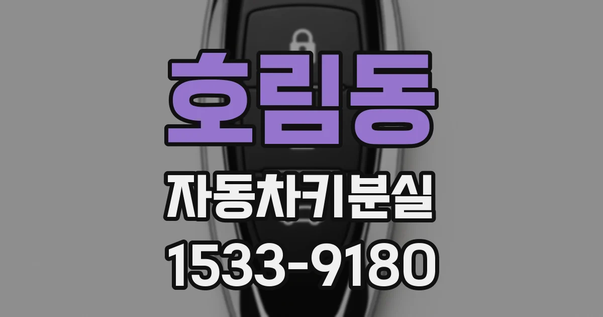 호림동 자동차키분실