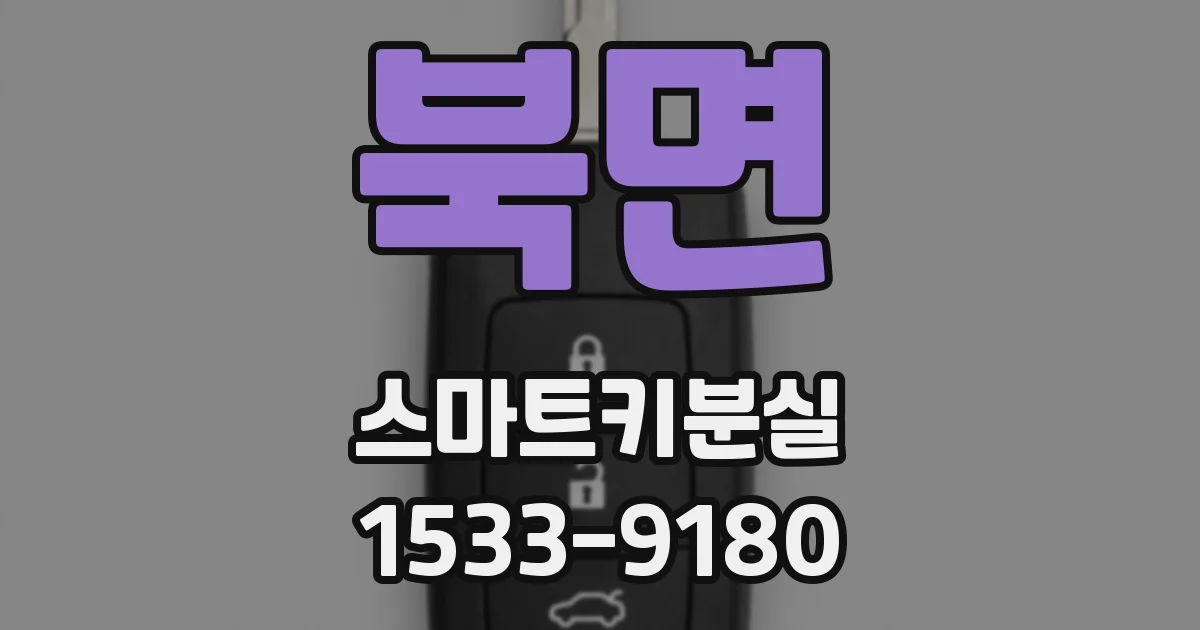 북면 스마트키분실