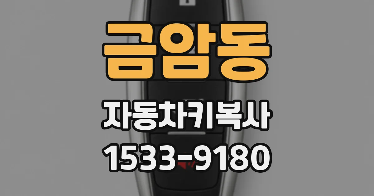 금암동 자동차키복사