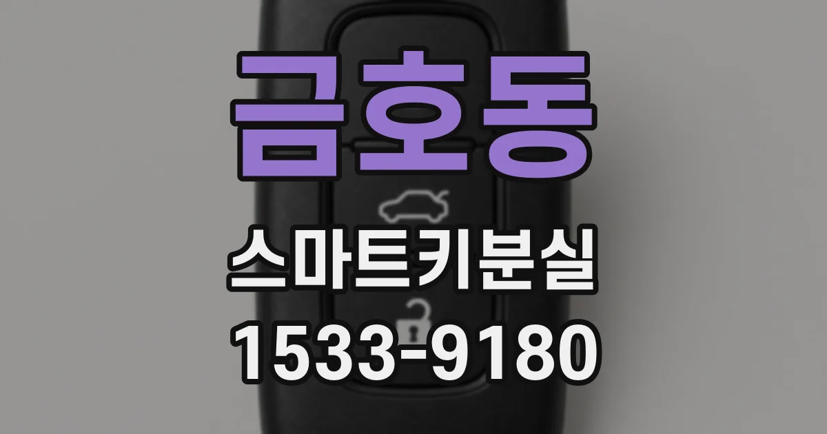 금호동 스마트키분실
