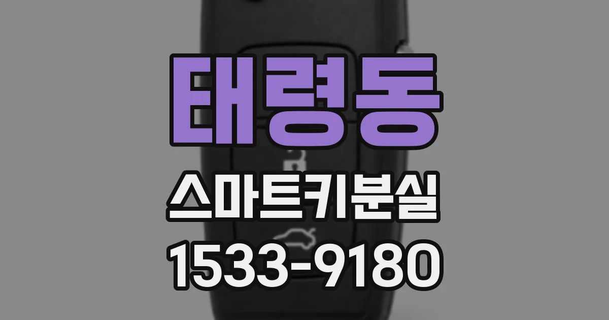 태령동 스마트키분실