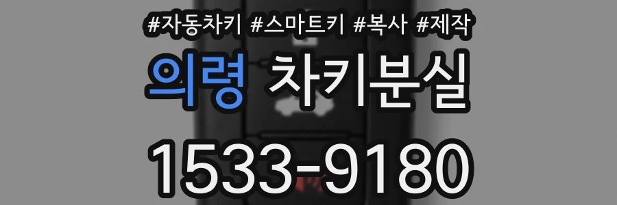 의령 차키분실