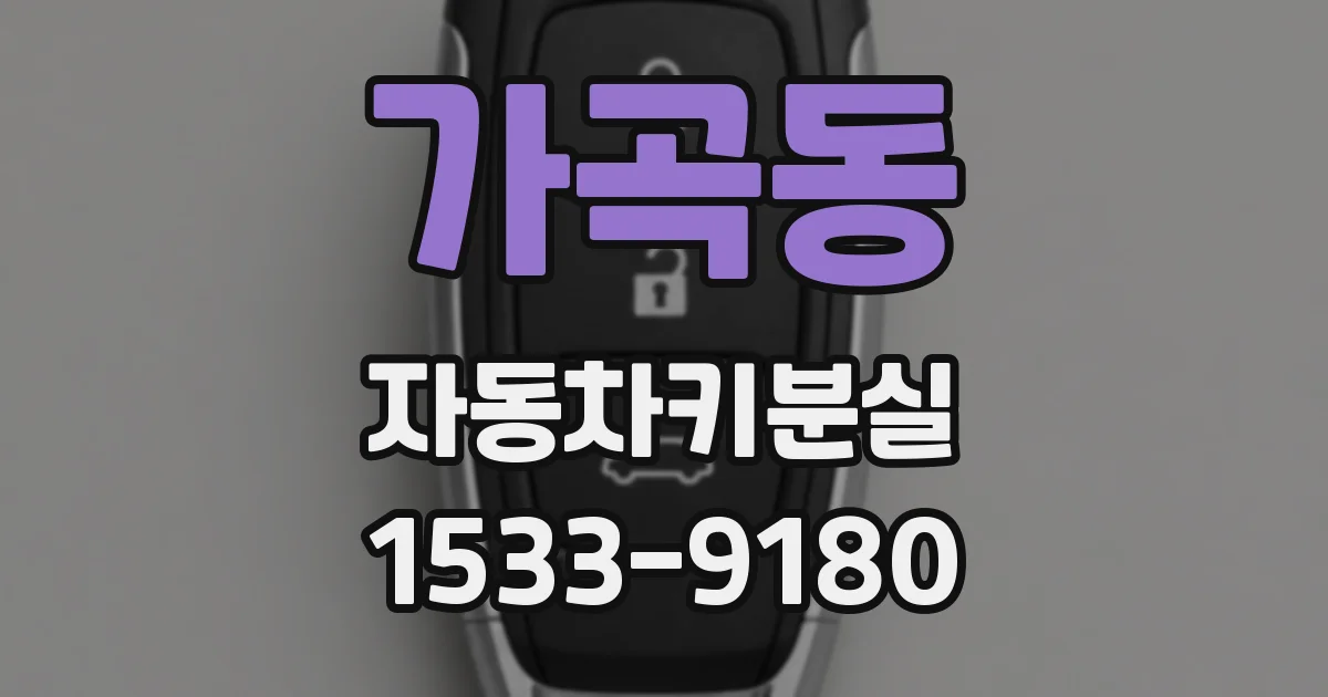 가곡동 자동차키분실