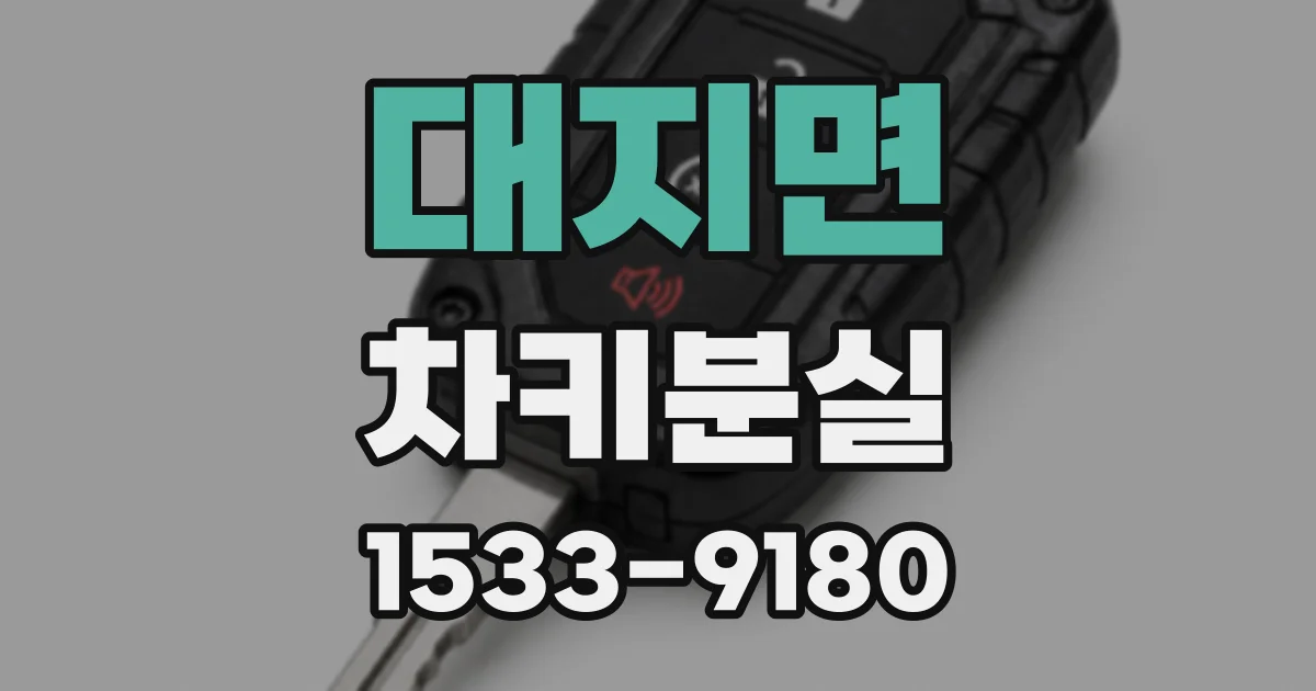 대지면 차키분실