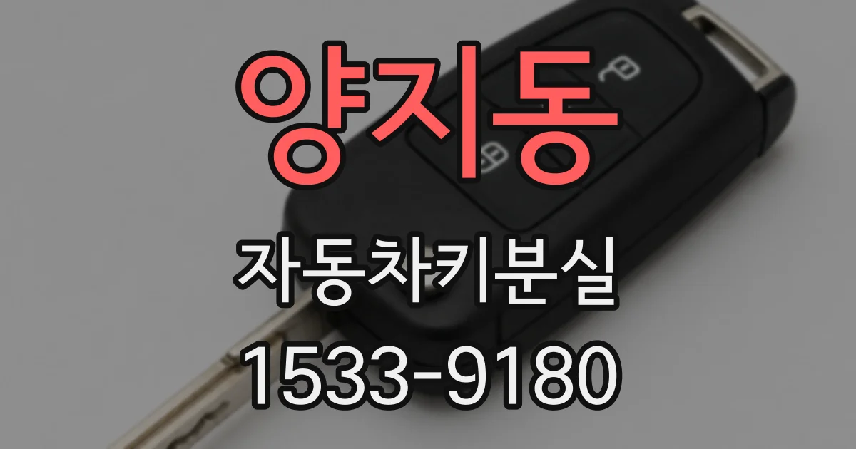 양지동 자동차키분실