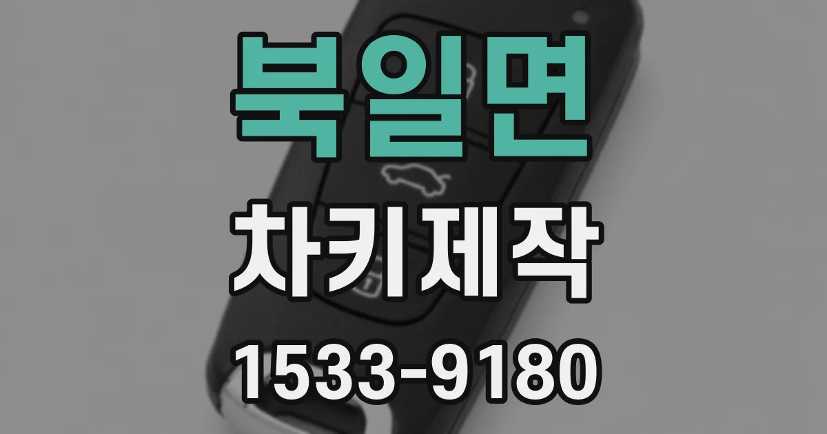 북일면 차키제작