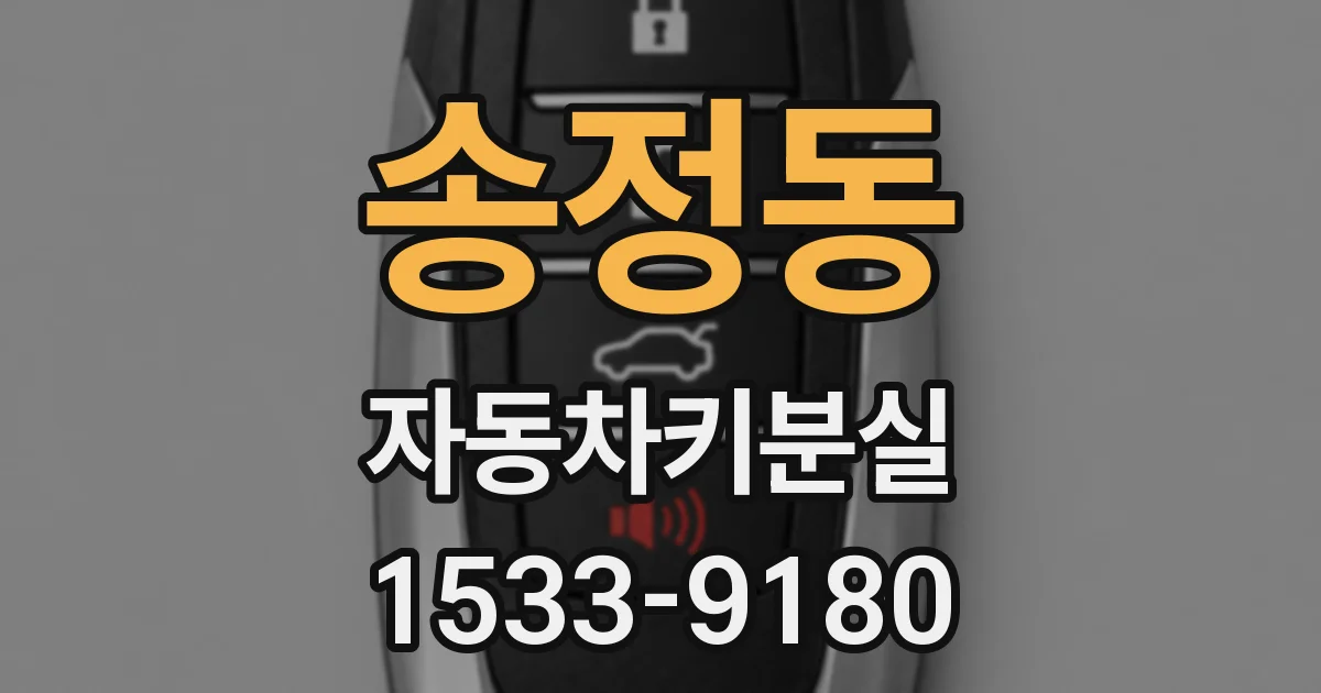 송정동 자동차키분실