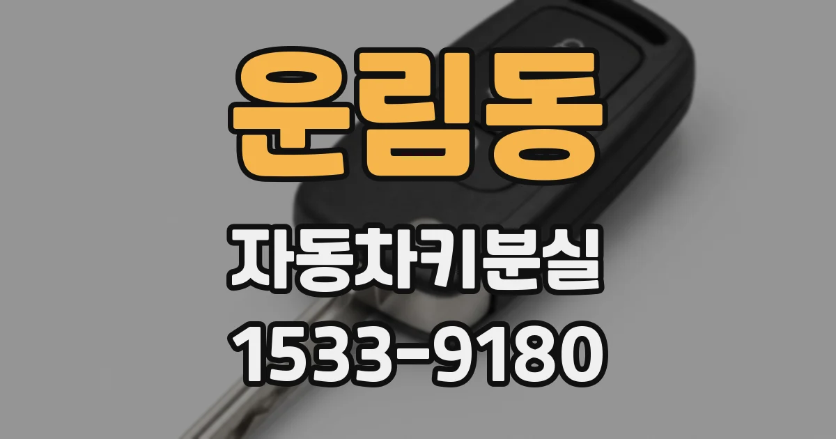 운림동 자동차키분실