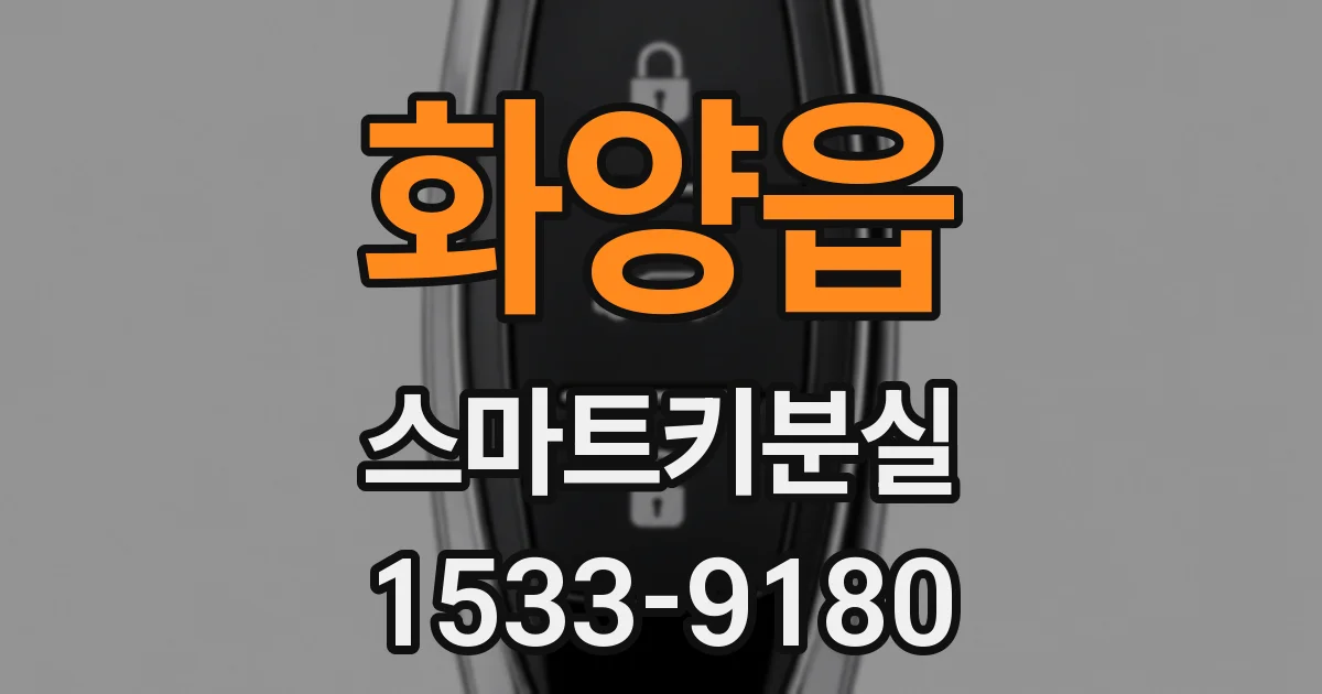 화양읍 스마트키분실