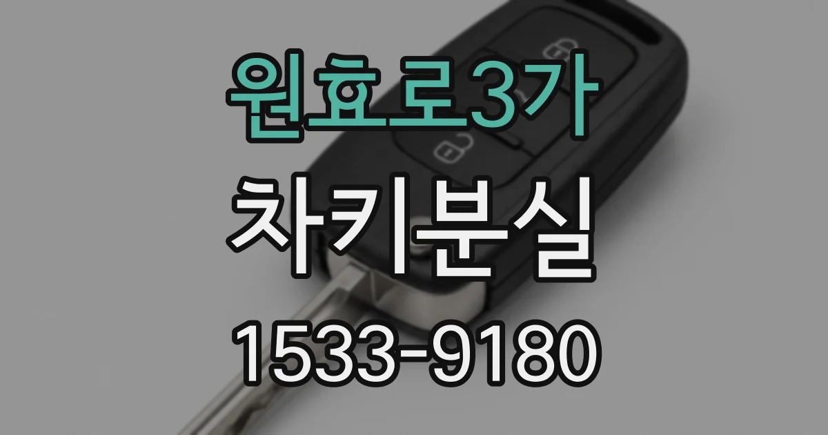 원효로3가 차키분실