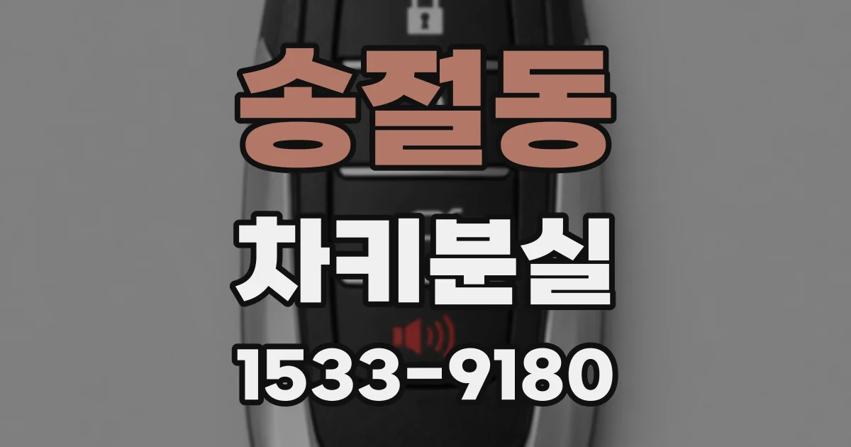 송절동 차키분실