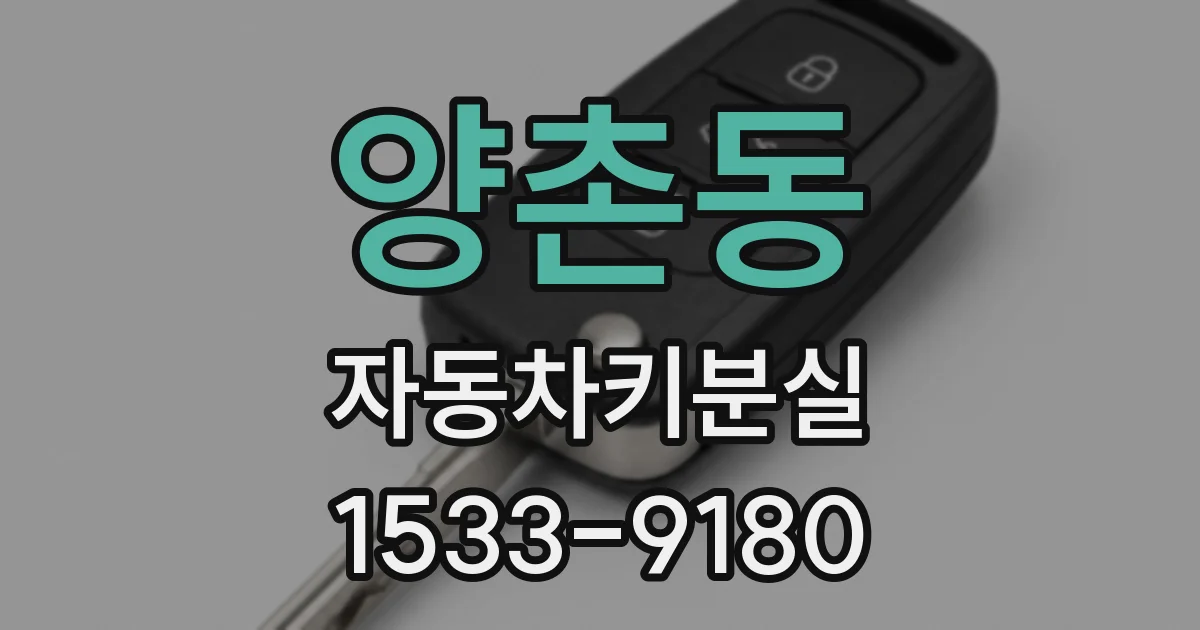 양촌동 자동차키분실