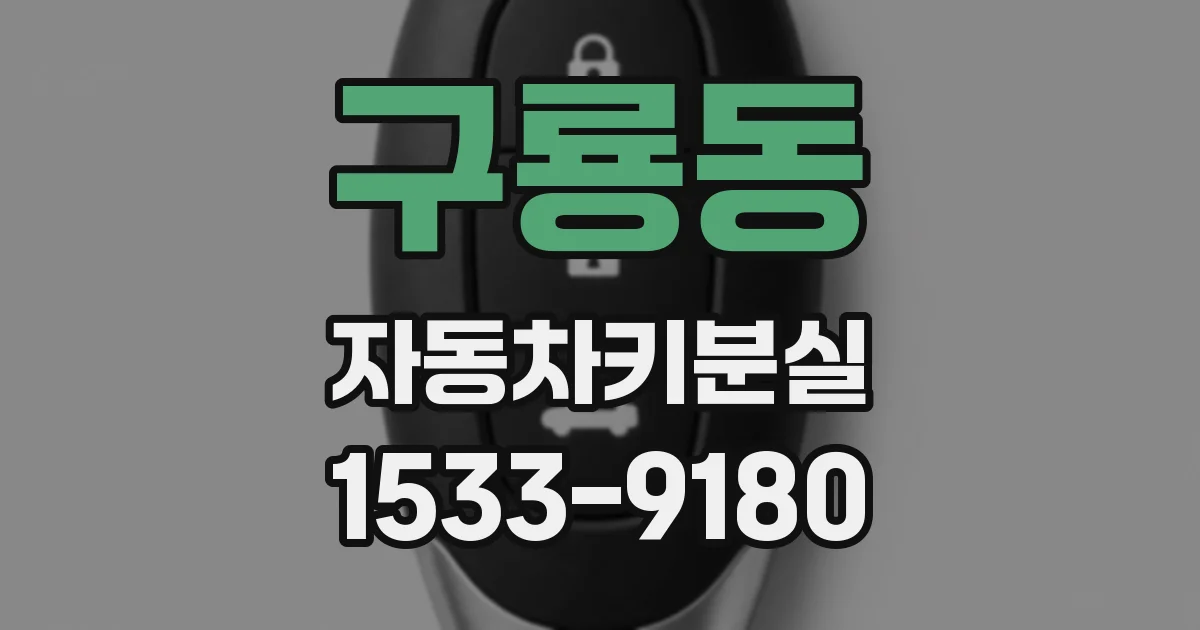 구룡동 자동차키분실