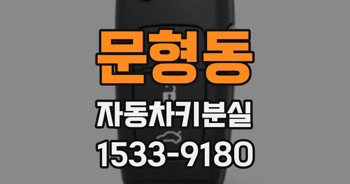 문형동 자동차키분실