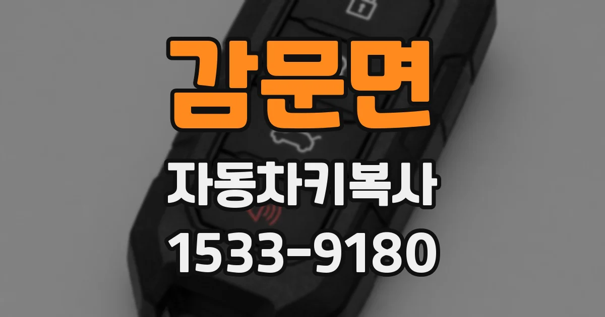 감문면 자동차키복사