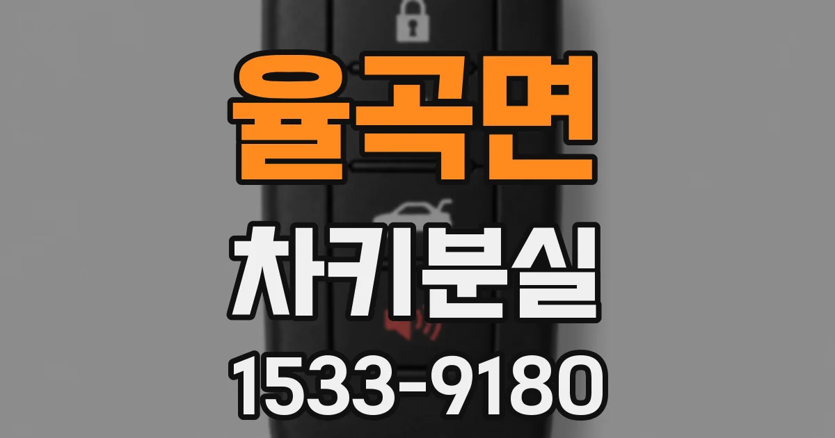율곡면 차키분실