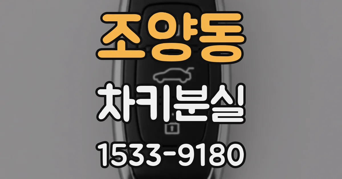 조양동 차키분실