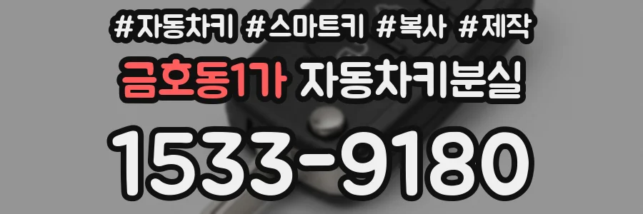 금호동1가 자동차키분실