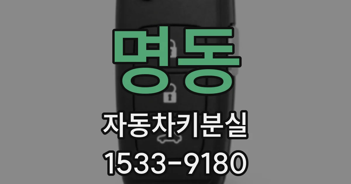 명동 자동차키분실
