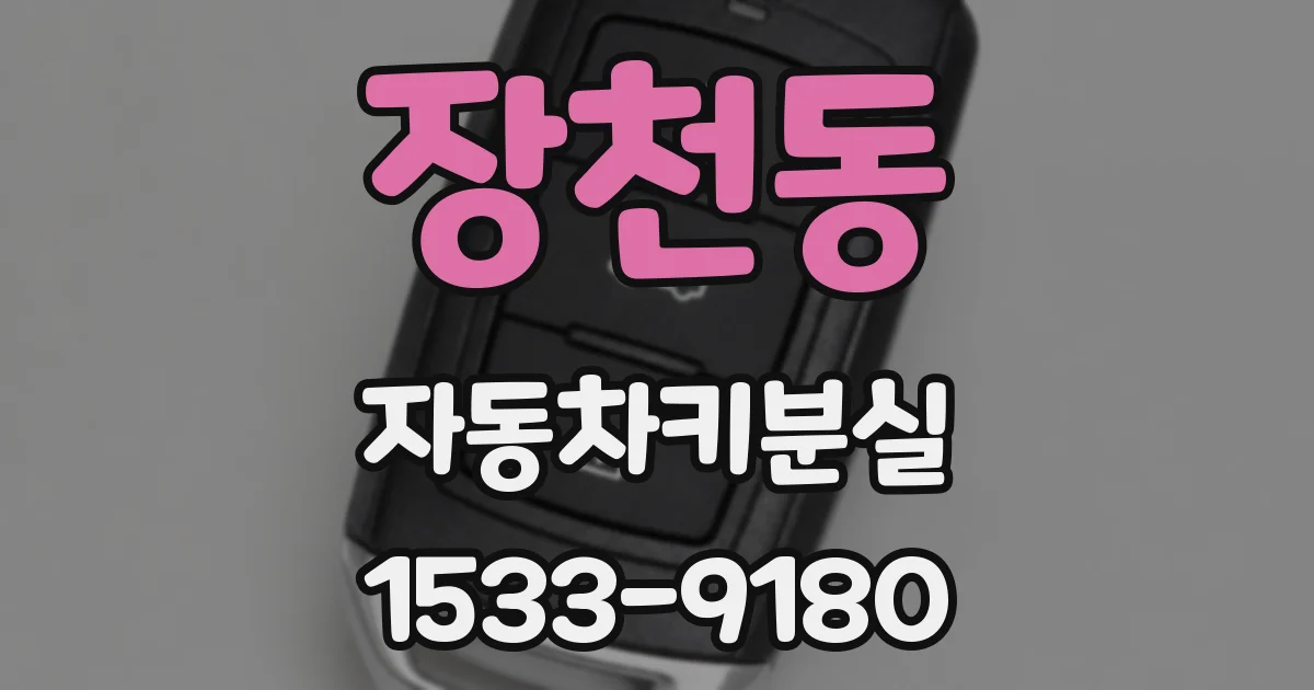 장천동 자동차키분실