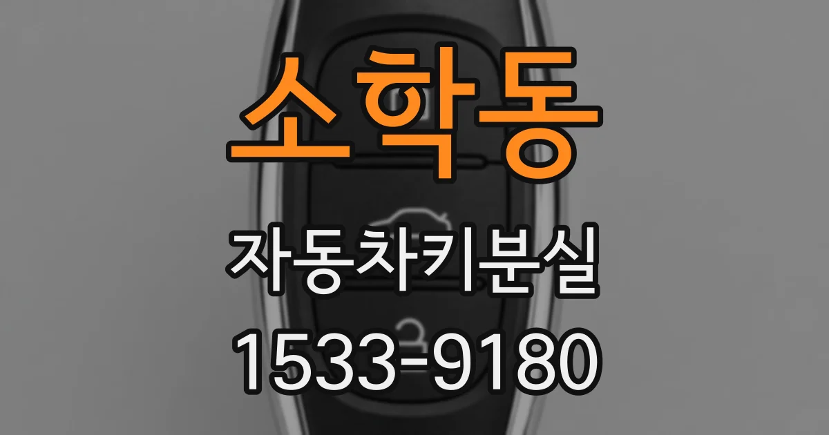 소학동 자동차키분실
