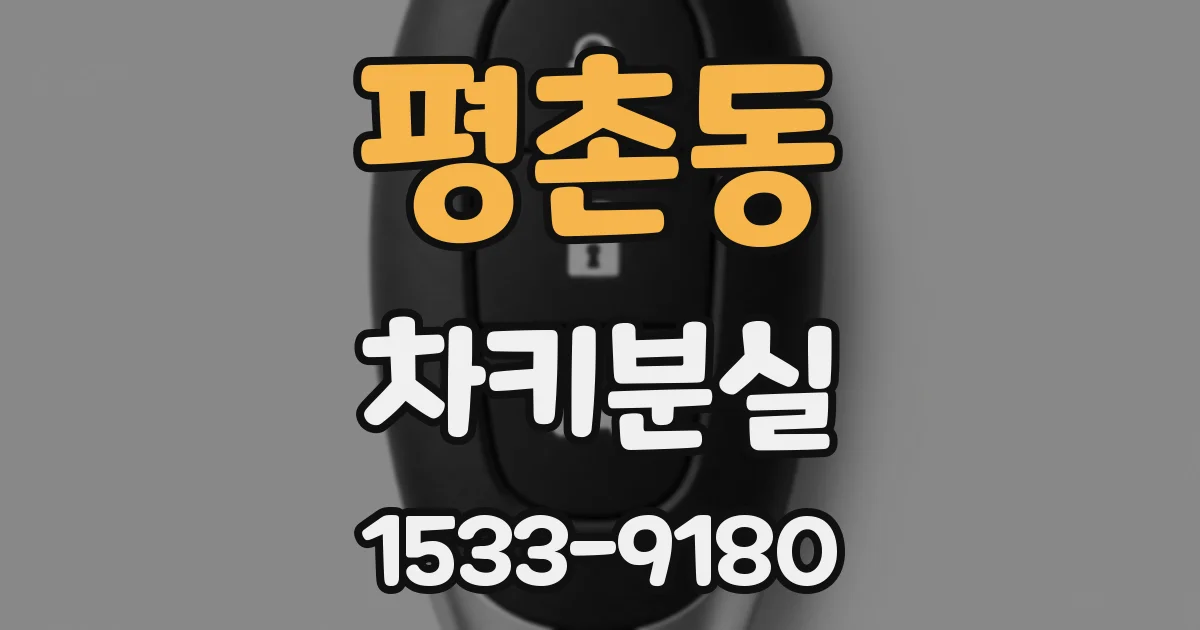 평촌동 차키분실
