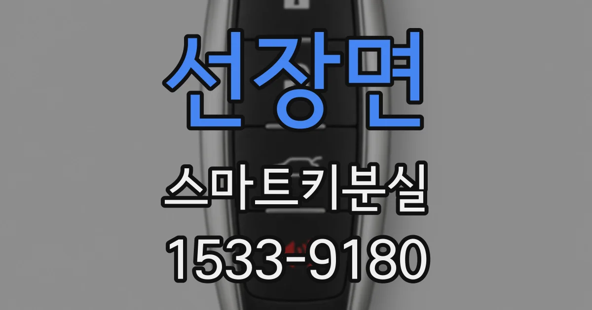 선장면 스마트키분실