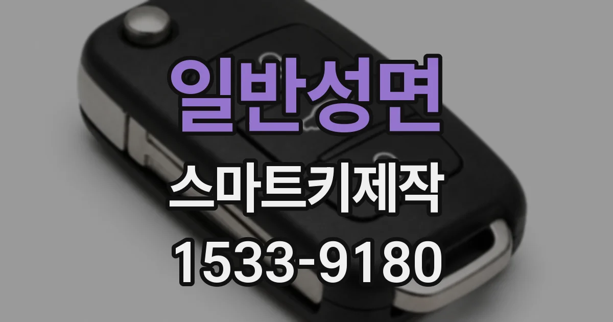 일반성면 스마트키제작