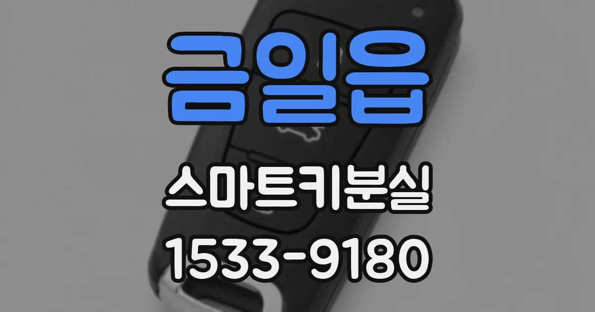 금일읍 스마트키분실