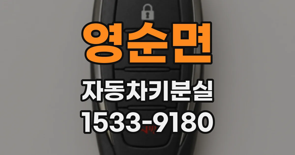 영순면 자동차키분실