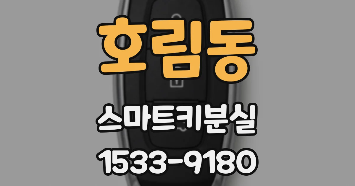 호림동 스마트키분실