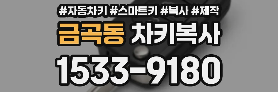 금곡동 차키복사