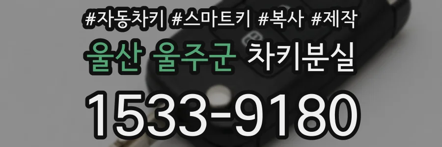 울산 울주군 차키분실