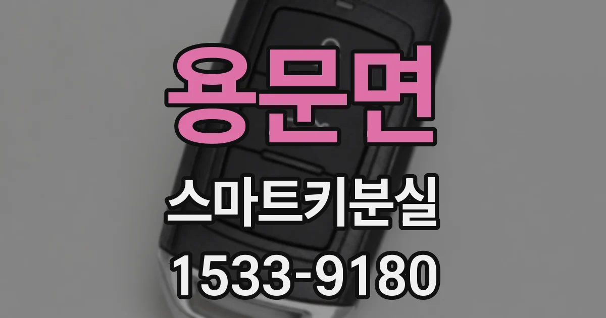 용문면 스마트키분실