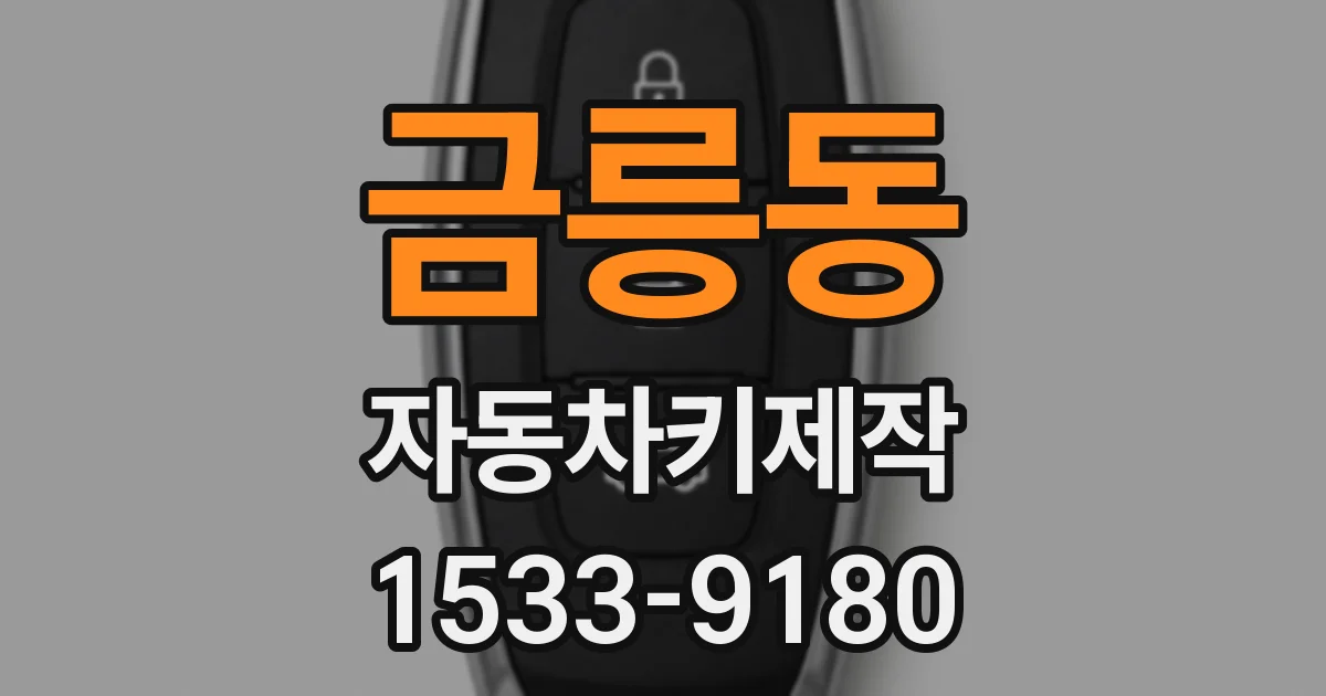 금릉동 자동차키제작