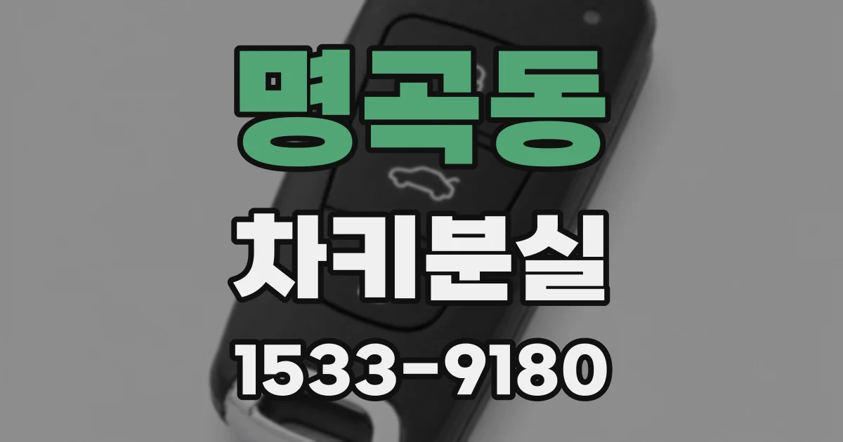 명곡동 차키분실