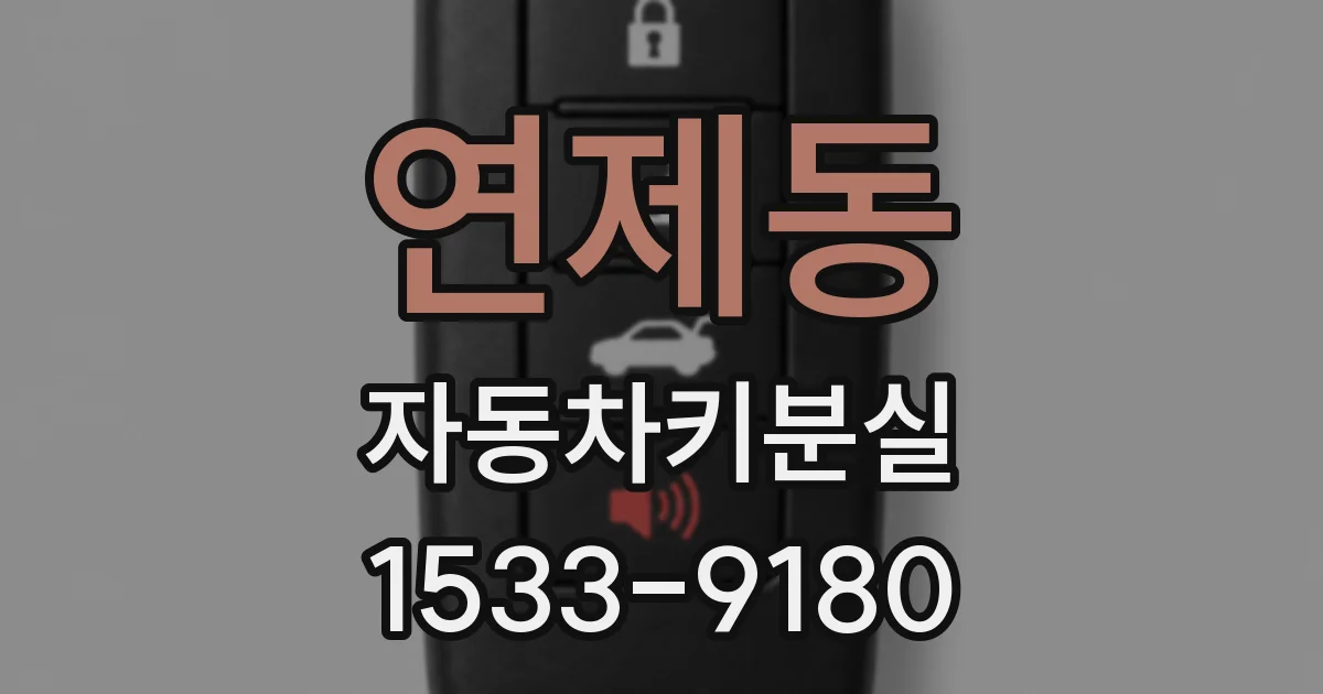 연제동 자동차키분실
