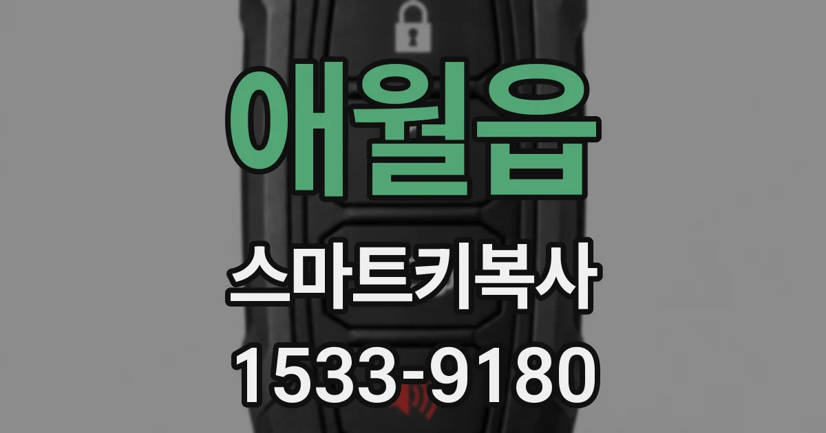 애월읍 스마트키복사