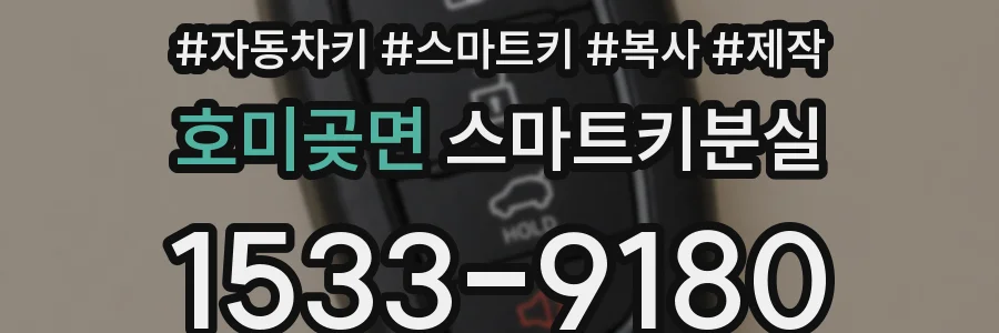 호미곶면 스마트키분실