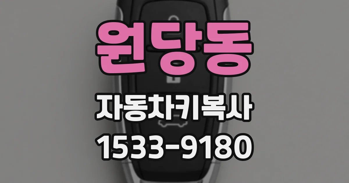 원당동 자동차키복사