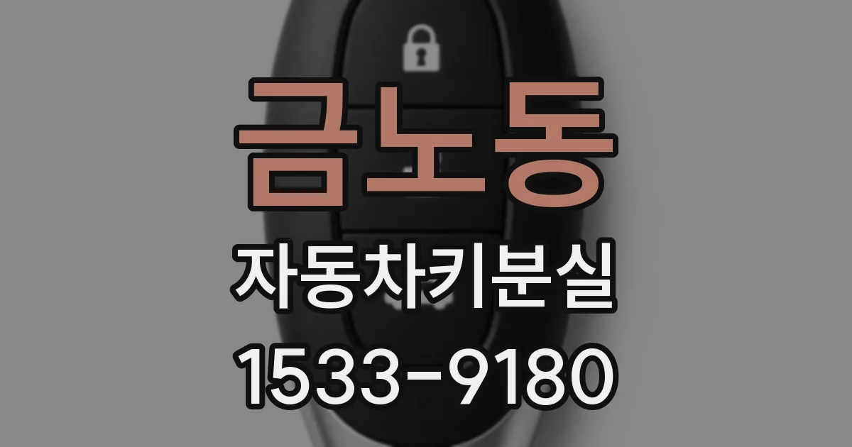 금노동 자동차키분실