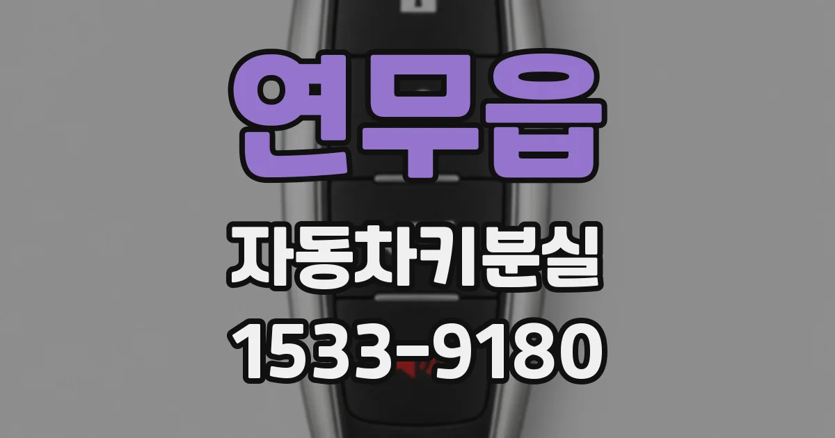 연무읍 자동차키분실