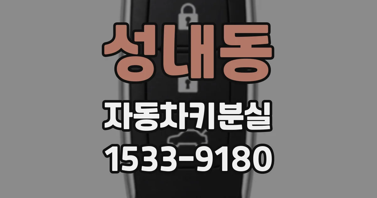 성내동 자동차키분실