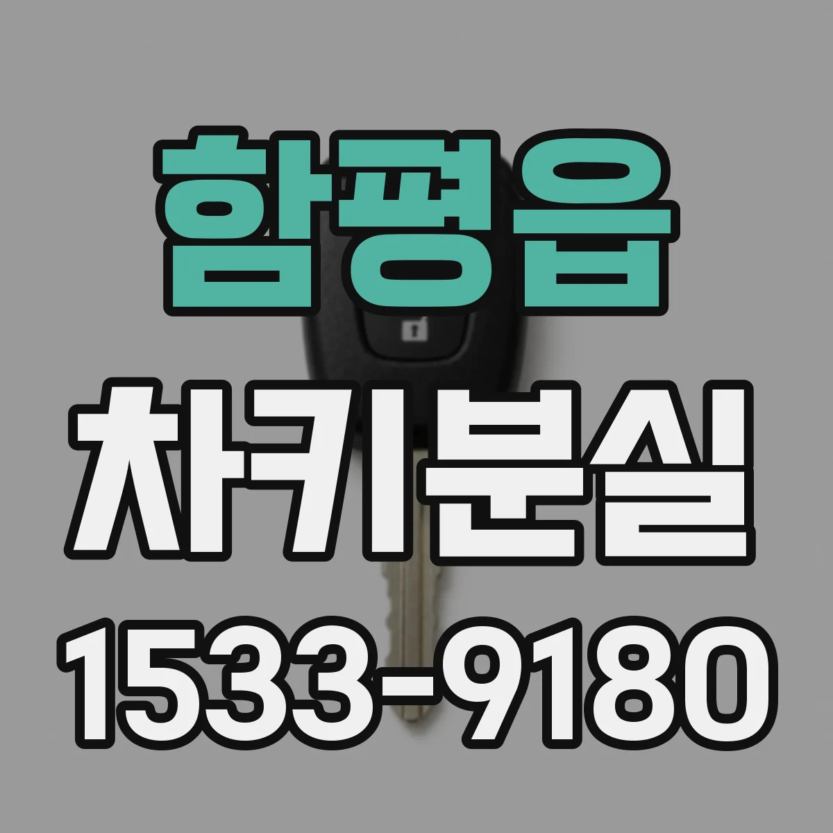 함평읍 차키분실