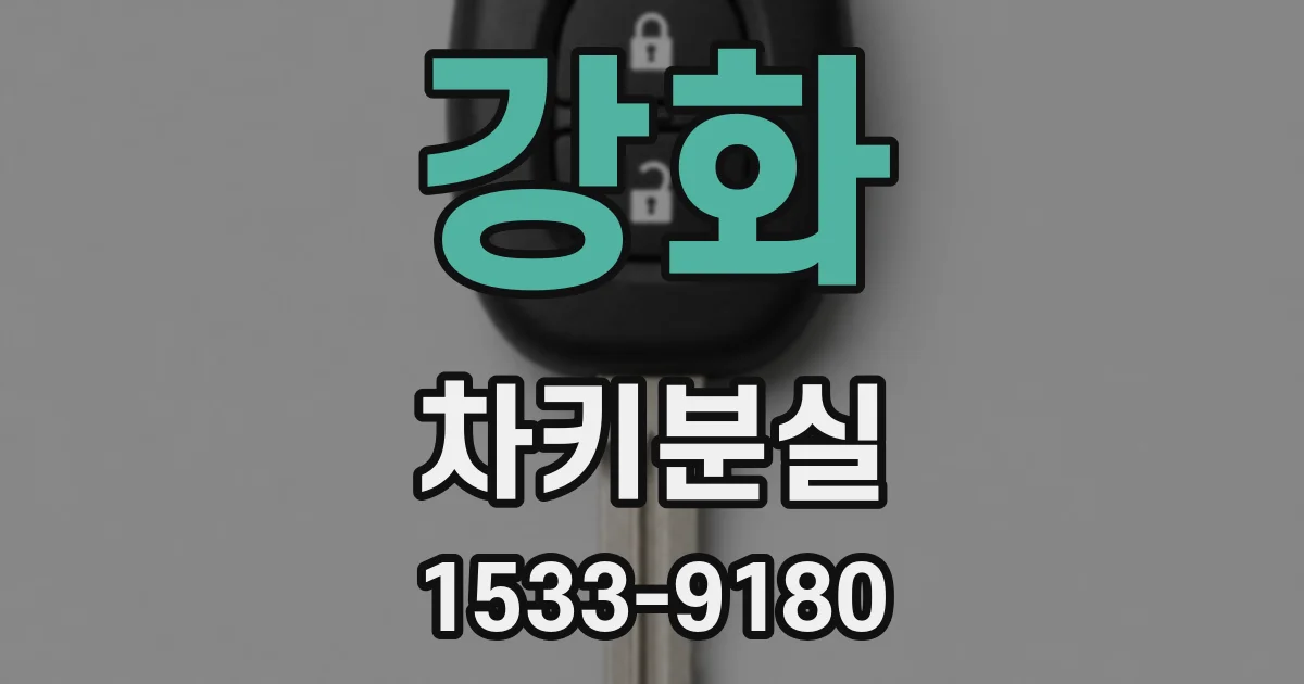 강화 차키분실