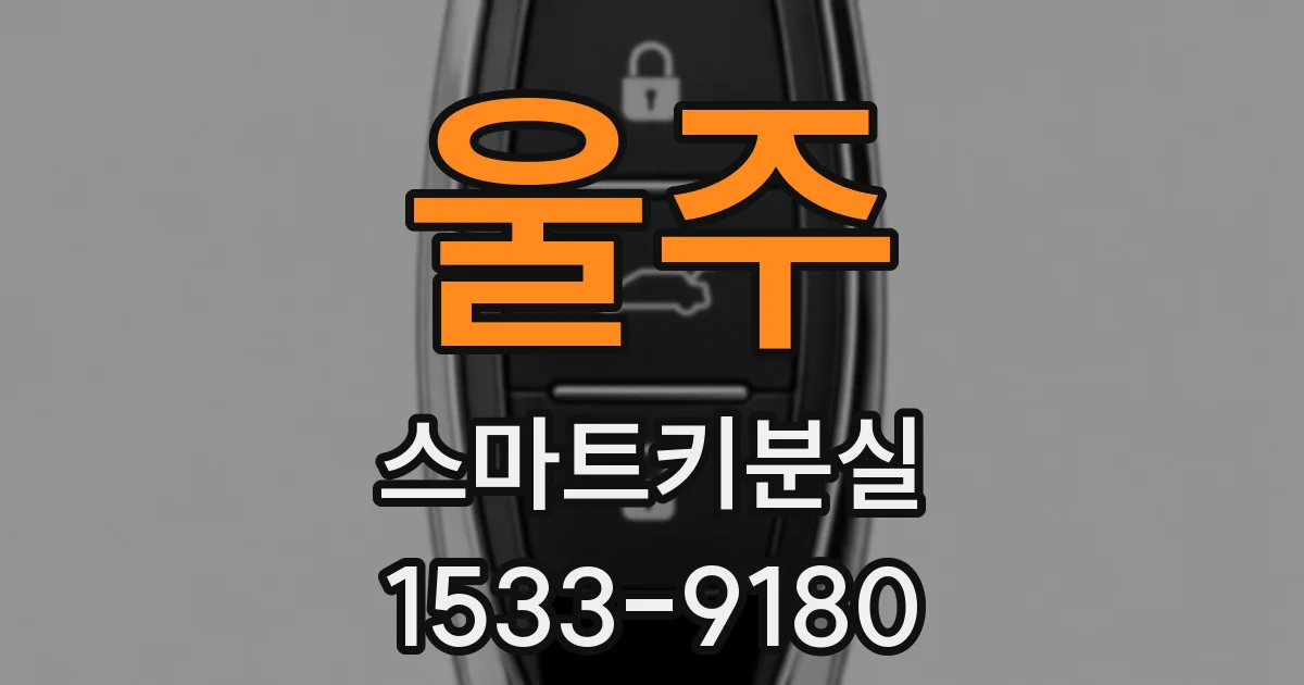 울주 스마트키분실