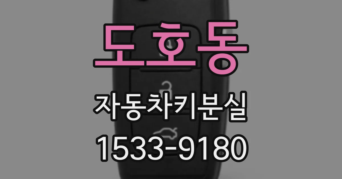 도호동 자동차키분실