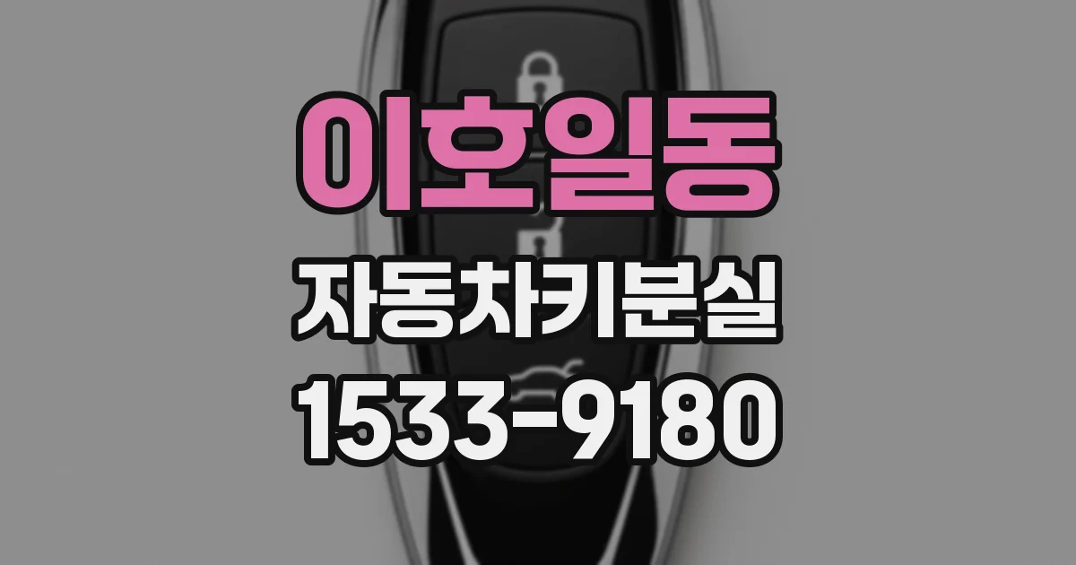 이호일동 자동차키분실